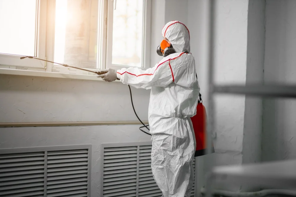 Professional mold remediation services in Maitland, FL